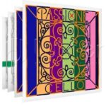 Струны для виолончели Pirastro Passione 4/4 (набор) Student Cello Set 330020