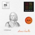 Отдельная струна Ми Quinta strings medium