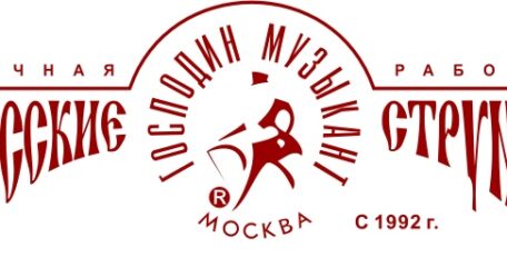 струны для скрипки Господин Музыкант